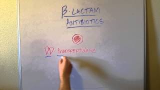 How BLactam Penicillin Antibiotics Work [upl. by Islehc]