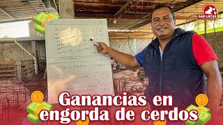 🔴Ventajas Y Beneficios De Criar Cerdos En CAMA PROFUNDA🐷PasionPecuariaRD [upl. by Kinnard]