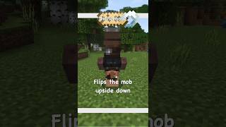 Minecraft Mob Name Tag SECRETS [upl. by Akins]