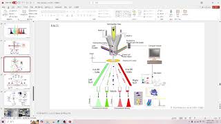 라이브 랩미팅 79 Flow cytometry amp FACS gating strategy [upl. by Georgia374]