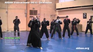 How to do Ninjutsu striking  sabaki basic combos  AKBAN Ninjutsu training [upl. by Melany]