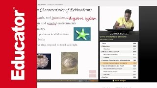 Life Science Echinoderms [upl. by Eibber]