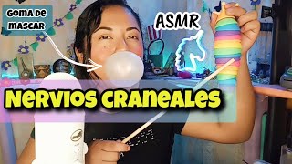 Exámen de nervios craneales ASMR [upl. by Leahcim]