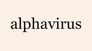 alphavirus [upl. by Gleason130]