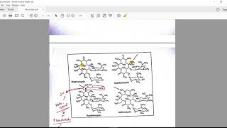 Macrolides 02 [upl. by Laen]