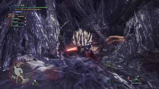 BEHOLD Catastrophes Light MonsterHunterWorld [upl. by Sarena452]