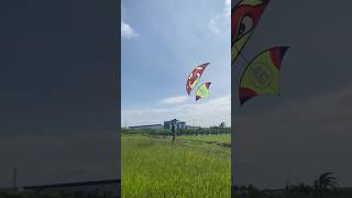 Thả diều ếch 4m5 cõng giàn sáo gì đây các bạnxuhuong vietnamkite kite youtubeshort layangan [upl. by Nnazus602]