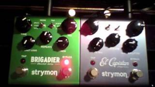 Strymon  Brigadier VS El Capistan  wow amp flutter VS Modulation Chorus  Vibrato [upl. by Ellemrac]