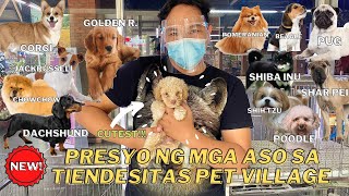 UPDATED PET PRICE LIST SA TIENDESITAS PET VILLAGE  Cuteness Overload MUST WATCH [upl. by Rees418]