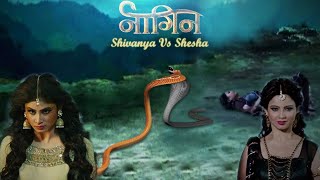 Shivanya And Shesha Fight Animation Video quotNaagin Season 1quot naagin animation colorstv [upl. by Hgeilyak494]