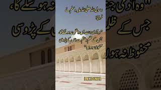 Hamare nabi ne farmaya  Islamic status  ilmkiduniya nabikibatain friday shortsvideo islmic [upl. by Hutchinson987]