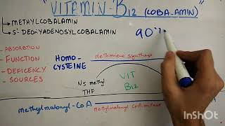 biochem of vitamin B 12  Cobalamine [upl. by Tait]