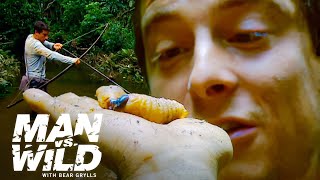 Bear Grylls Eats the Biggest Grubs Hes Ever Seen  Man vs Wild [upl. by Eelydnarb]