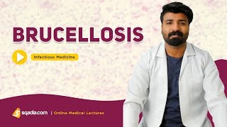 Brucellosis  Infectious Medicine Lectures  Medical Education  VLearning  sqadiacom [upl. by Cresa550]