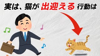 【猫の愛情表現】大好きな人にしか見せない猫の行動 [upl. by Monro]