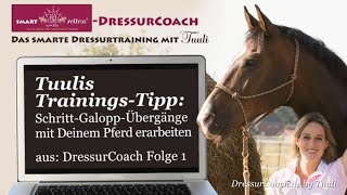 DressurCoachTipp 02  SchrittGaloppÜbergänge mit Deinem Pferd erarbeiten [upl. by Christan111]