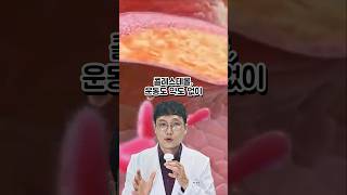 정세운약사는 왜 약없이 운동없이 콜레스테롤 수치가 낮아졌을까 [upl. by Radbourne669]