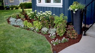 Flowerbed Makeover Start to Finish 🌿🌸 [upl. by Zipporah490]