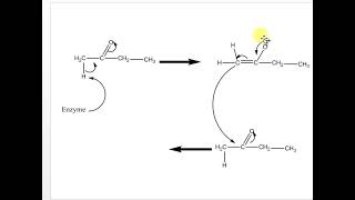 Acetatemevalonate pathway [upl. by Aniroz188]