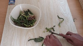 Chong Aloo Recipe  Caralluma Fimbriata Vegetable  چونگا  By Shayan Cooking Foods [upl. by Eirolam]