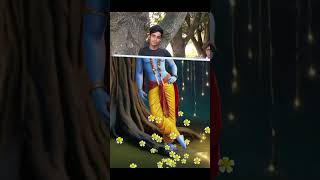 Hare Rama hare Rama hare Krishna trendingyoutubeshorts shortvideo ytshorts viralvideo harerama [upl. by Gurango]