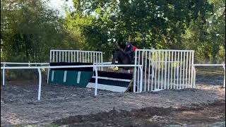 Varinia schooling with Charlie Hammond [upl. by Bristow]