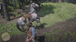 Red Dead Redemption 2 Free Brindle Thoroughbred Location On PS5 [upl. by Neeruam900]