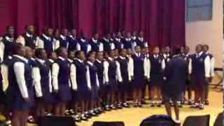 Swaziland School Choir [upl. by Etteniuq]