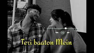 Teri baaton Mein LOFI SONG  Instagram Mind Relaxing Lofi Song  Instagram Trending Lofi Song [upl. by Consuela296]