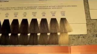 COSMETOLOGY HAIRCOLORING 3 COLOR LEVELS AND TONES [upl. by Anneuq577]