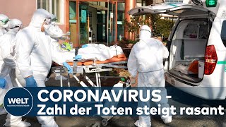 CORONAVIRUS AUS CHINA Der Covid19Virus breitet sich explosionsartig in Asien aus [upl. by Natalina760]