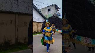 Kawadi Papare Perahara kawadi fyp dance papare srilanka peacock [upl. by Dawna]