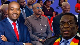 BREAKING  NELSON CHAMISA FIRST TIME SPEECH IN PUBLIC 2024 IN CHIVI LETS DO DIALOG WITH ED MNANGAGWA [upl. by Tronna]