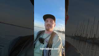 catching halibut on the San Diego Bay  kayak fishing fishing kayakfishing sandiego [upl. by Ail848]