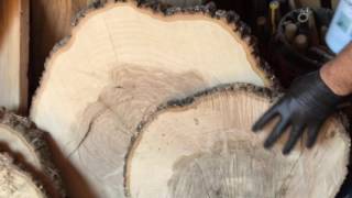 Stabilizing large tree slices with Pentacryl [upl. by Platas]