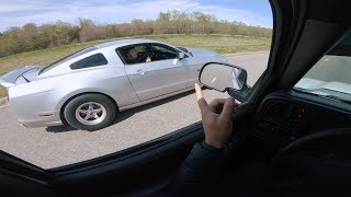 Blown Mustang did NOT expect this from a TRUCK [upl. by Kcirederf]