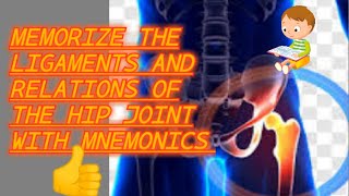 memorize the ligaments and relations of hip joint with mnemonics [upl. by Nivlad]