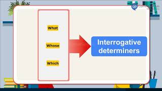 Interrogative Determiners [upl. by Mariana]