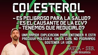 El COLESTEROL y su importancia en nuestras vidas [upl. by Aivart423]