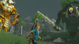 GOLD LYNEL VS LINK VS HINOX  Zelda Breath of the Wild [upl. by Rannug]