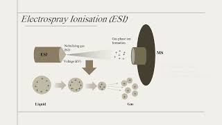 Quickly understand various types of LCMS [upl. by Watkin93]