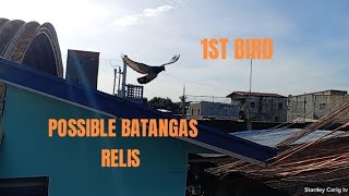 possible BATANGAS STO TOMAS release [upl. by Dygert956]