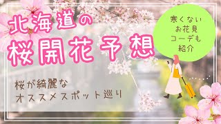 【2024年】北海道の桜はGWが見頃！！北海道の桜開花予想とお花見スポットとお花見コーデ [upl. by Davida819]