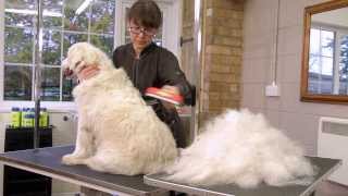 FURminator deShedding Tools for Dogs [upl. by Hong]