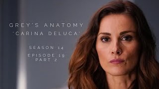 Stefania in Greys Anatomy S14E19 pt2 as Carina DeLuca [upl. by Noelyn]