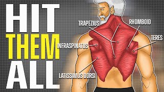 The ONLY 3 Dumbbell Back Exercises You Need men over 40 [upl. by Shelman]