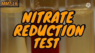 Nitrate Reduction Test  Medical Microbiological Test  MMTL6  in UrduHindi [upl. by Danette]