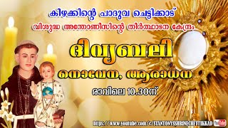 29 OCTOBER 2024  ദിവ്യബലി  ST ANTONYS SHRINE CHETTIKKAD [upl. by Elletsirk]