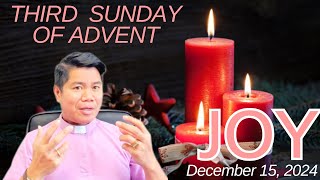 HOMILY for the Third Sunday of Advent Year C GAUDETE SUNDAY December 15 2024 [upl. by Kassity]