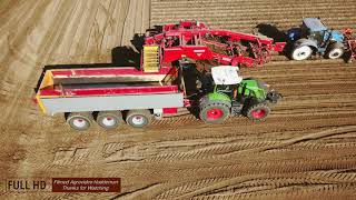 Aardappel rooien met Jan Bakker  New Holland T7030  Gimme GV 3000  Potatos harvesting 2018 [upl. by Nnylharas]